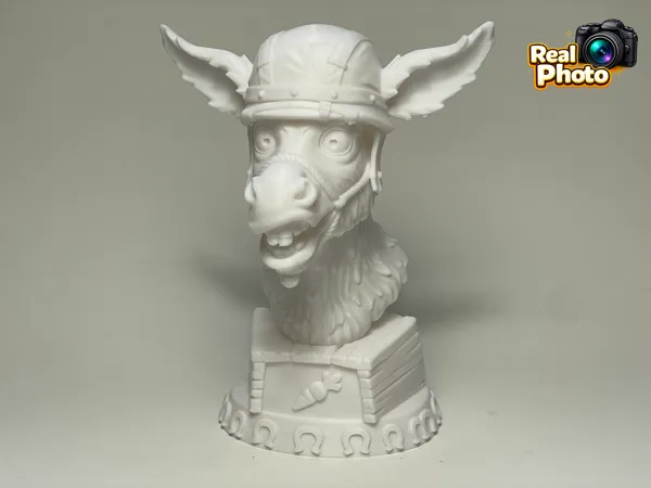 https://makerworld.bblmw.com/makerworld/model/US464c4151f28a8b/design/95f36dd240432630.jpeg