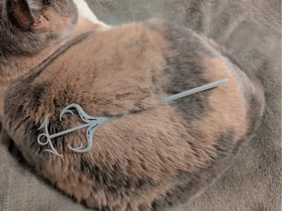 Anchor Hairpin