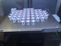 0.16mm layer, 2 walls, 10% infill