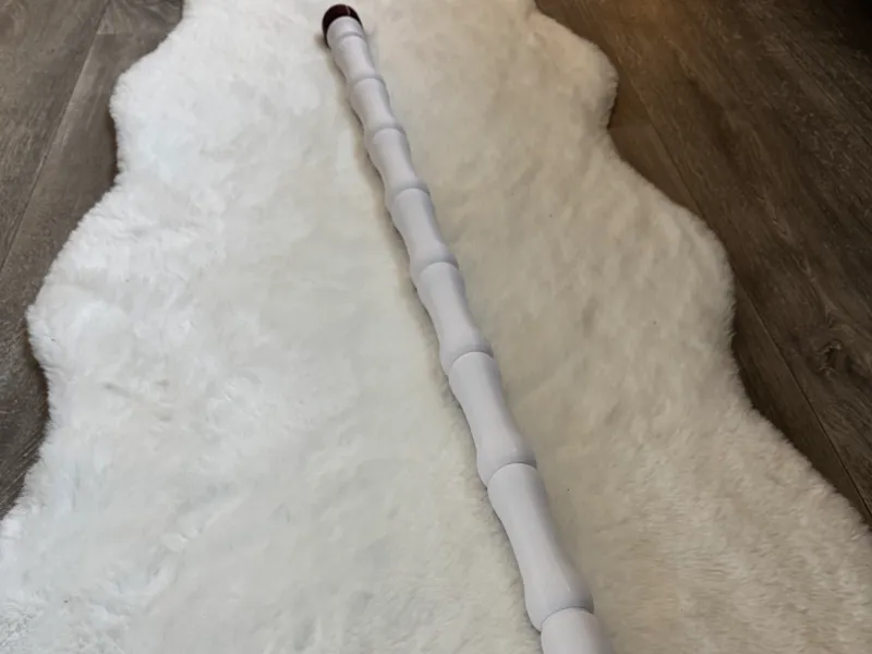 John Hammond's cane