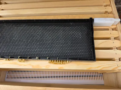 National beehive frame to Langstroth adaptor