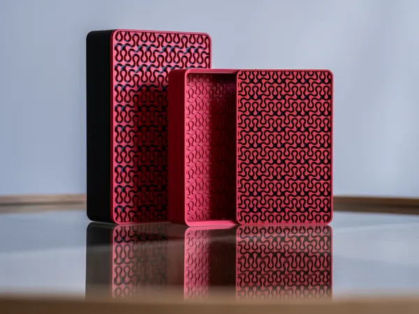 https://makerworld.bblmw.com/makerworld/model/US465503974ede5d/design/b2f7418d73861506.jpg
