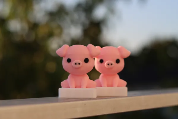 https://makerworld.bblmw.com/makerworld/model/US465b9e5eb64008/design/2024-07-29_3321fe790d9b4.jpg