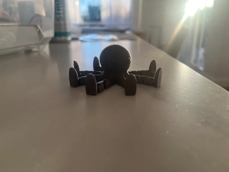 little octopus with shoes