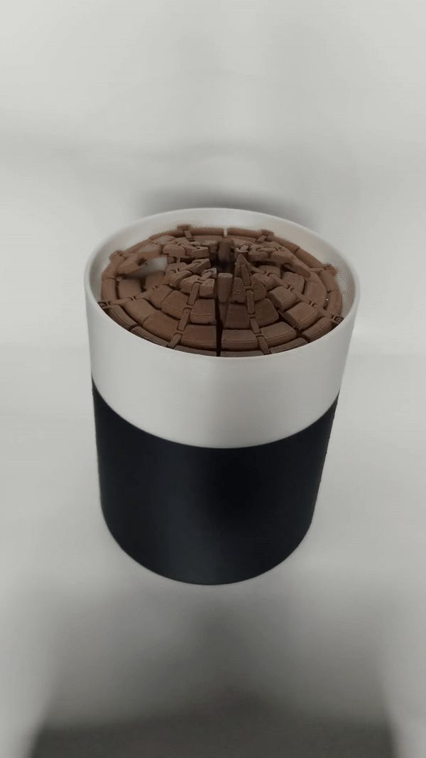 https://makerworld.bblmw.com/makerworld/model/US466105de0b1b75/design/2025-05-01_64a26ae4b31ab8.gif