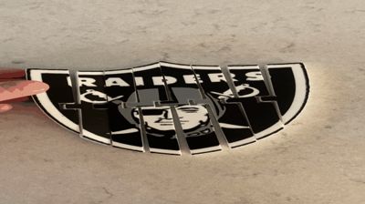 Raiders Flexi Logo