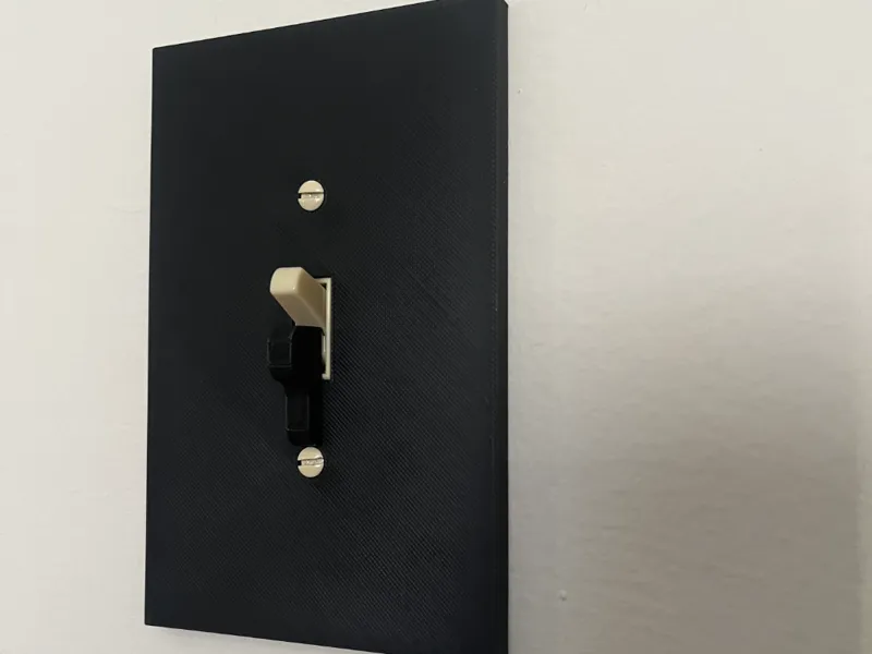 Lightswitch protector
