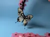 Cherry Blossom Butterfly Crown | Butterfly
