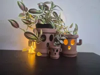 Gyroid - Scale 50% - Gyroid Without Holes - Not Hollow