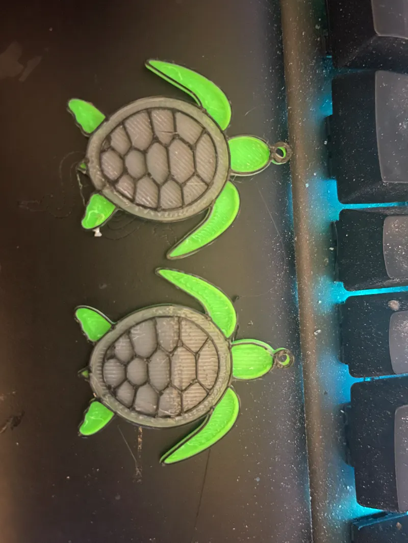 Sea Turtle
