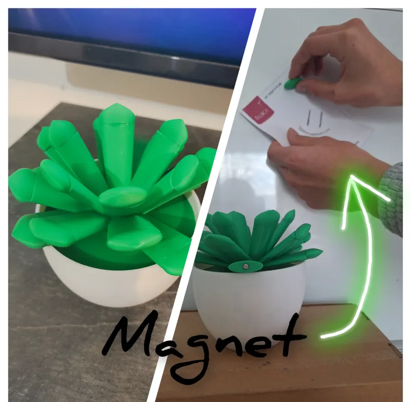 plant magnet