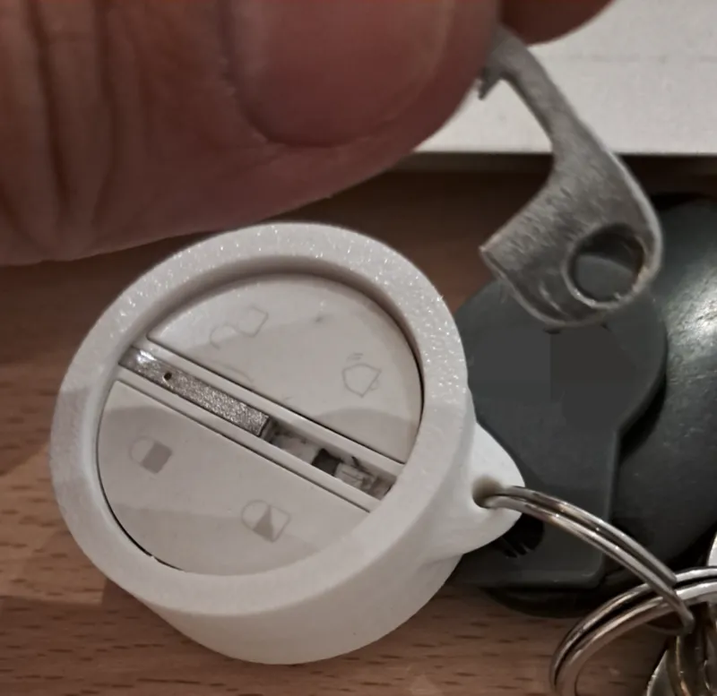 Broken Somfy Badge Holder