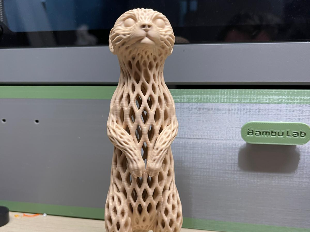 Erdmännchen