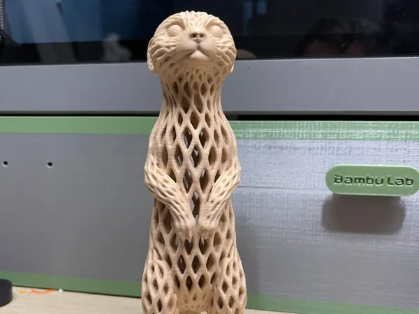 https://makerworld.bblmw.com/makerworld/model/US468042024afa52/design/c78abde0c14d9c7d.jpeg
