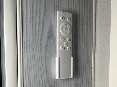 Light remote wall mount