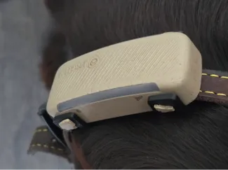 Tractive Dog 6 Replacement TPU Strap