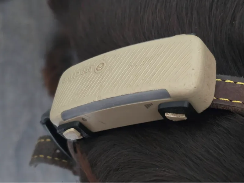 Tractive Dog 6 Replacement TPU Strap
