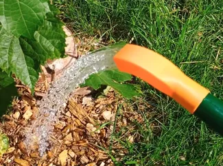 Long end of watering can