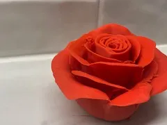 https://makerworld.bblmw.com/makerworld/model/US4688ab9715f181/design/2025-08-10_33e35560f3df5.jpg