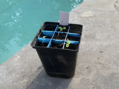Planter Grid Insert for Seedlings