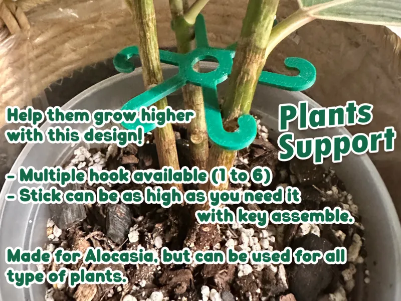 Plant Support PIEUVRE Multiple hook versions