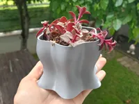 0.2mm layer, 2 walls, 15% infill