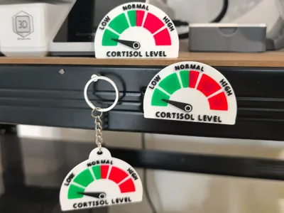 Low Cortisol | Keychain & Magnet