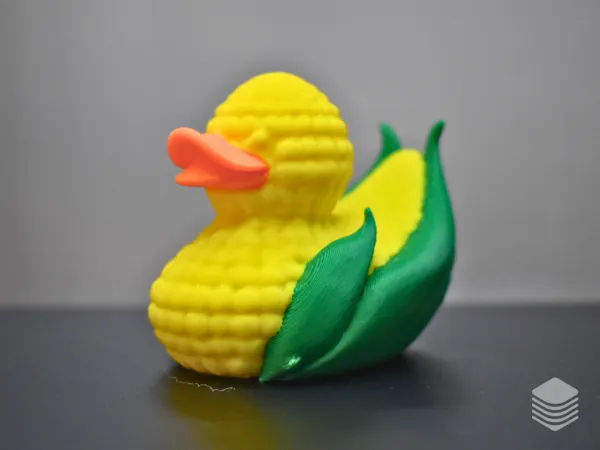 https://makerworld.bblmw.com/makerworld/model/US468fa4602d0bb7/design/2025-01-17_da97624c06b3.png