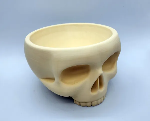 https://makerworld.bblmw.com/makerworld/model/US4691637183b943/design/2025-01-26_c4mubmumsiee.jpg