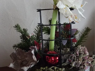Plant Support, Flower Holder