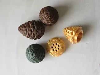 Pinecone For Nosework Training