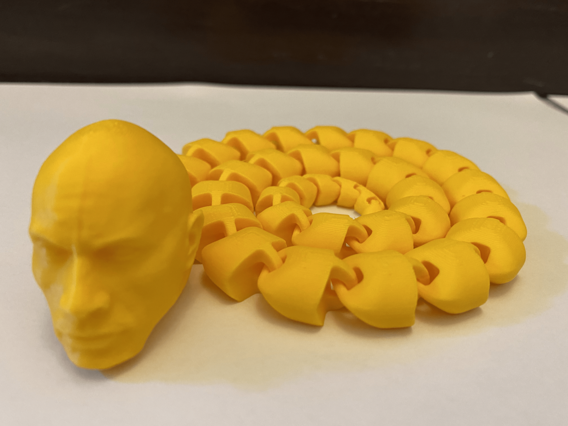 Dwayne The Snake Johnson (The Rock) 