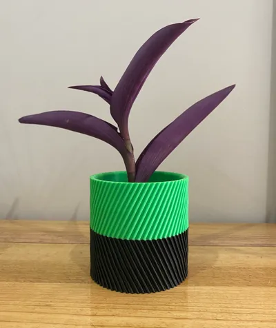 Plant Pot