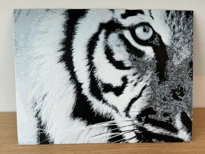 hueforge tiger