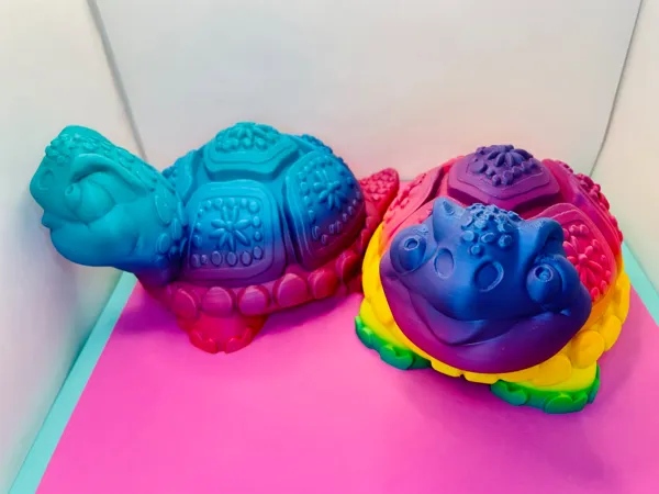 https://makerworld.bblmw.com/makerworld/model/US469e5e55f7d2b9/design/2024-03-19_1180dd3741a4f.jpg