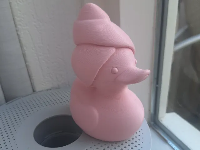 Duck with towel