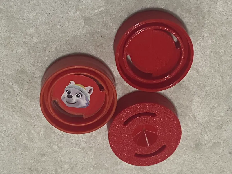 Paw Patrol Bingo Chip