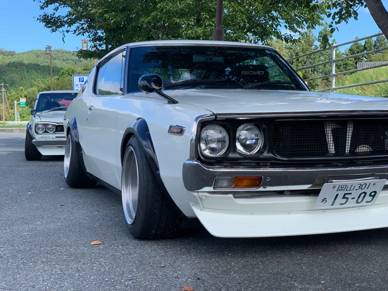 1972-1977 Skyline  fender mirror base