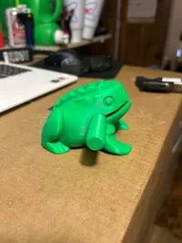 Grenouille à percussion — photo 3