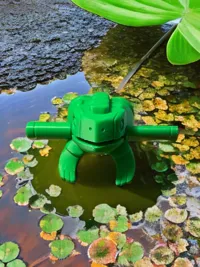 Grenouille à percussion — photo 2