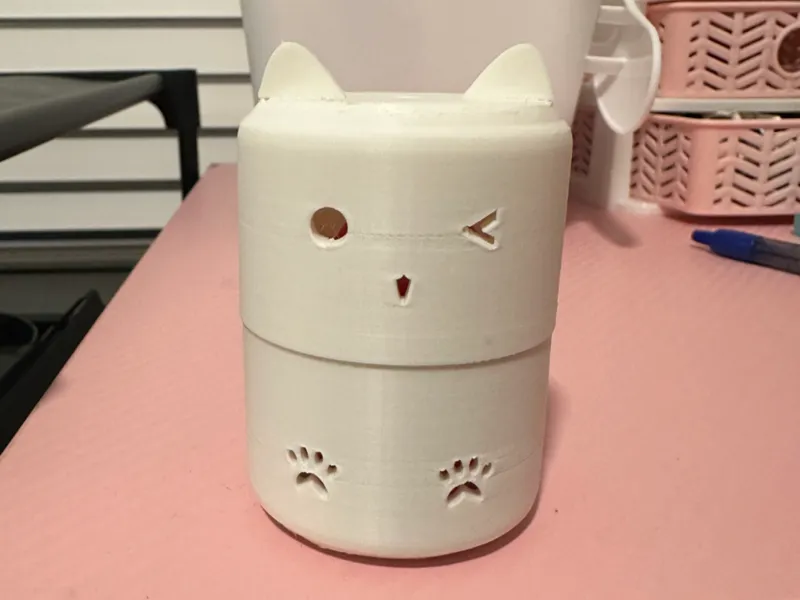 Blender Ball Case/Holder
