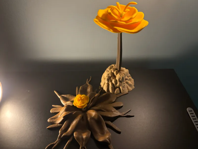 Helldivers 2 Sample Flower (Black Saffron)