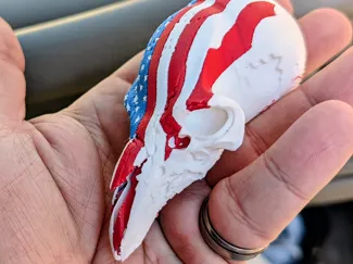 American Flag Eagle Skull