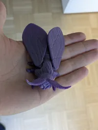 0.2mm layer, 2 walls, 10% infill (single color, no AMS)