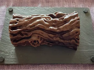 Aquarium Log Cave