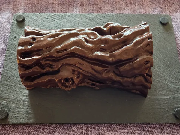 https://makerworld.bblmw.com/makerworld/model/US46a6bf1ba3fe8f/design/2025-02-26_fce613e0be8ce.jpg