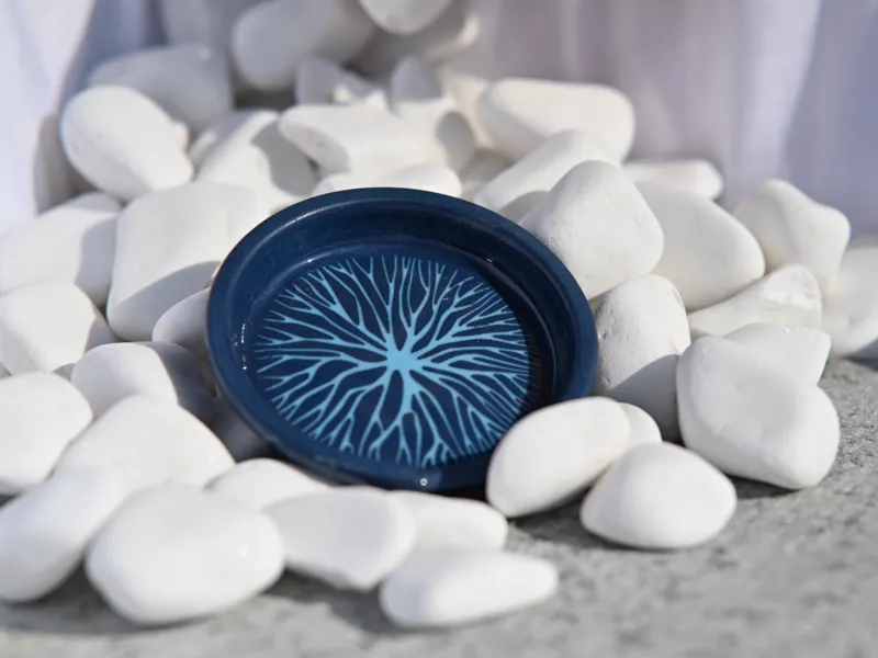 Lightning Root Tray