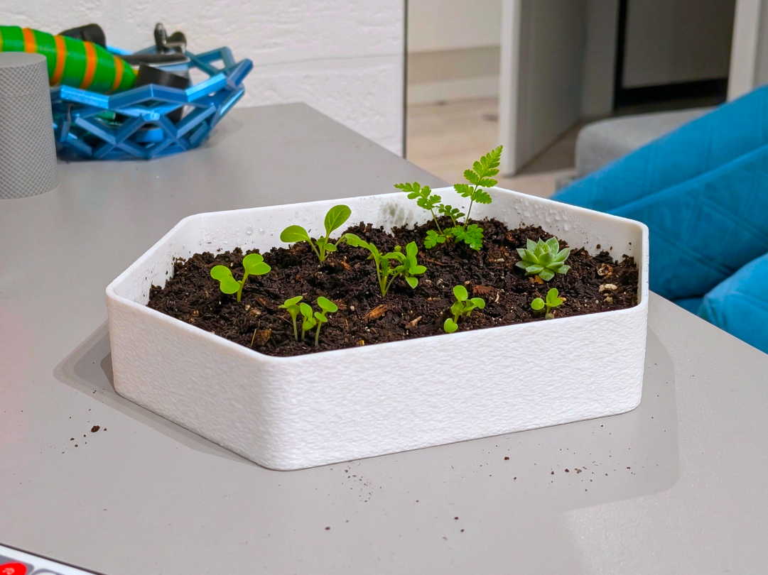 The 70g Seed Starter Efficient & Sturdy Planter