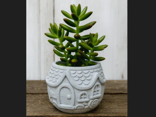 https://makerworld.bblmw.com/makerworld/model/US46ab49e10cc0d/design/2025-12-07_74778d707e0148.png