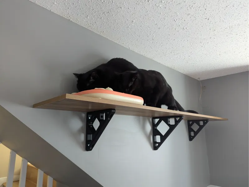 Geometric Shelf Brackets